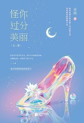 怪你过分美丽(怪你过分美丽原著小说)