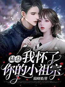 陆总,我怀了你的小祖宗