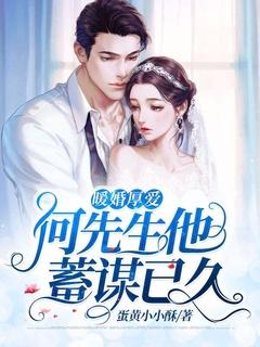 暖婚厚爱:何先生他蓄谋已久