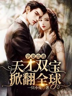 孕妻出逃:天才双宝掀翻全球!