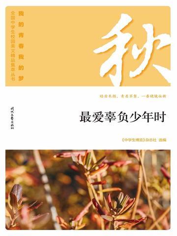 “我的青春我的梦”(秋)最爱辜负少年时