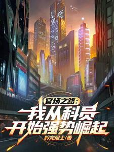 官场之路:我从科员开始强势崛起