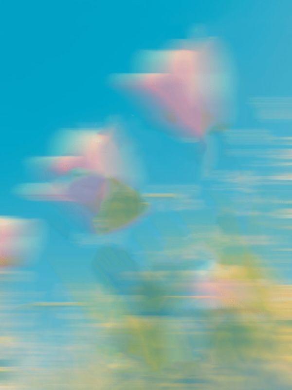 重生后整顿拿彩票抵份子钱的毒闺蜜