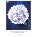 星星上的花