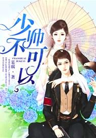 少帅,不可以!