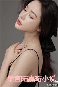 桑宜陆嘉珩小说