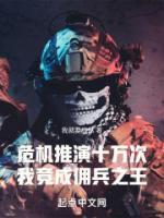 危机推演十万次,我竟成佣兵之王