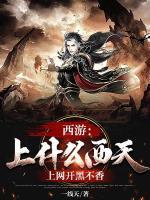 西游:上什么西天,上网开黑不香