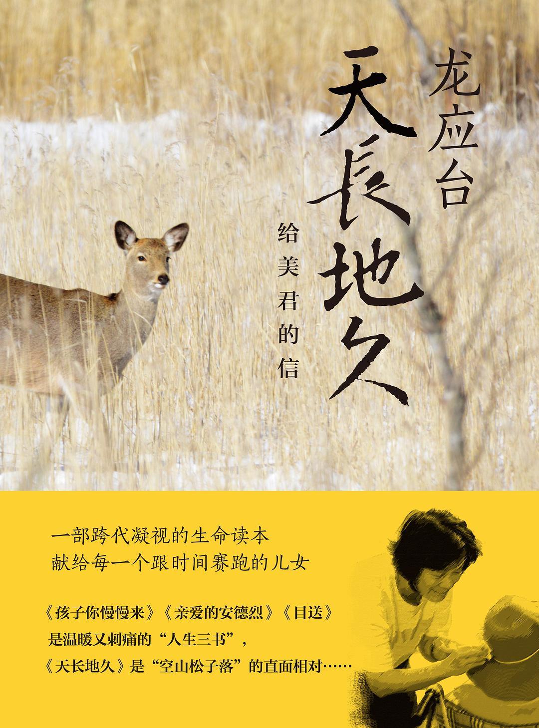 天长地久:给美君的信