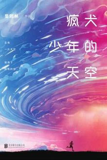 疯犬少年的天空(风犬少年的天空原著小说)
