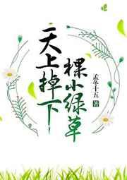 天上掉下棵小绿草