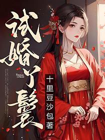 试婚丫鬟
