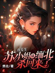 夜先生,苏小姐从缅北杀回来了