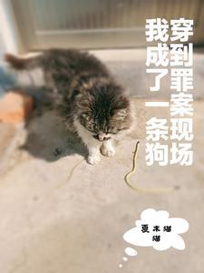 穿到罪案现场,我成了一条狗