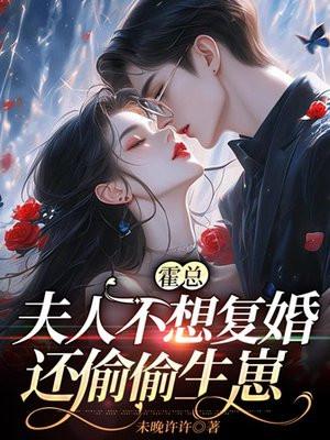 霍总,夫人不想复婚还偷偷生崽