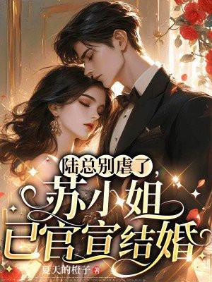 陆总别虐了,苏小姐已官宣结婚